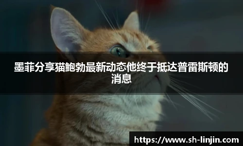 米兰体育官网